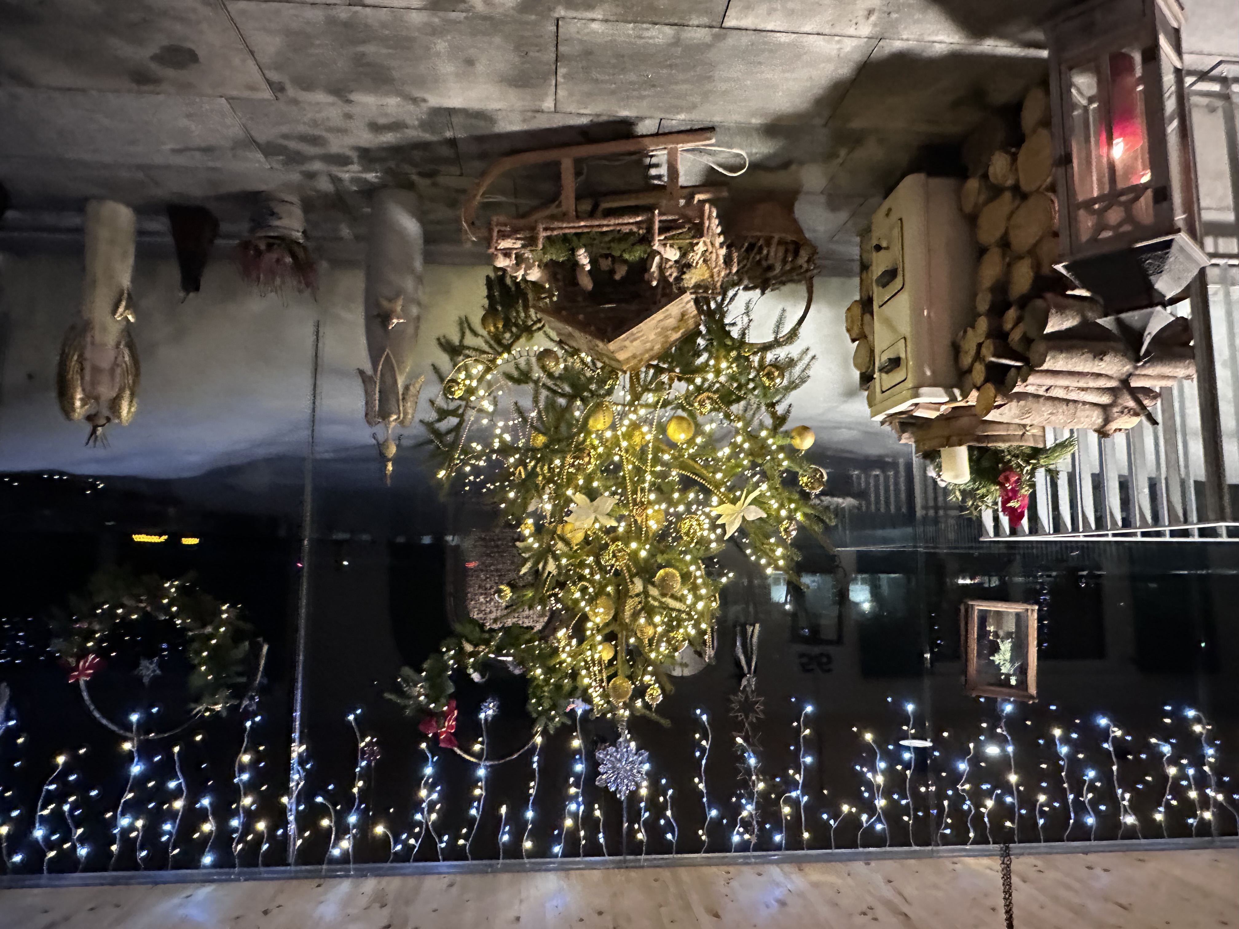 Wintergarten mit Weihnachtsbaum